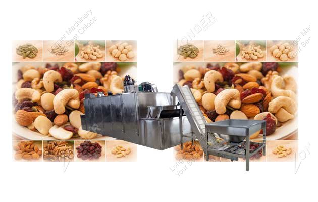 continuous nut roaster machine